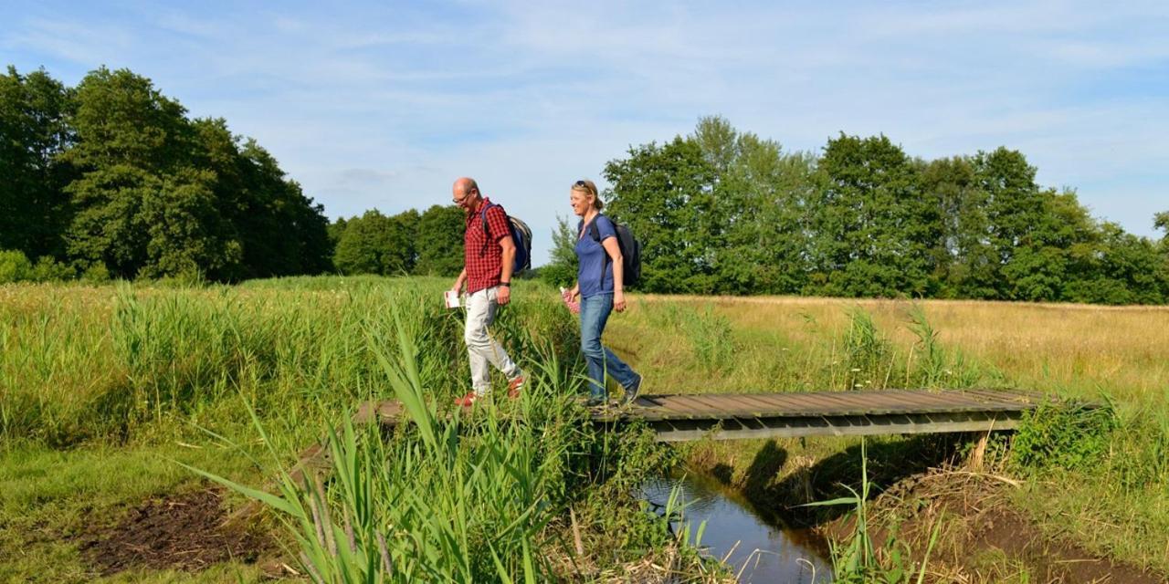 Luxe Natuurhuisje Met Jacuzzi En Haard In Drenthe, Echten Echten  Exterior photo